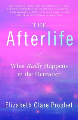 The Afterlife: What Really Happens in the Hereafter book