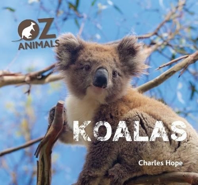 Koalas OZ Animals book