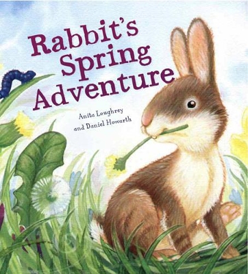 Rabbit's Spring Adventure book