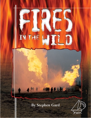 Fires in the Wild book