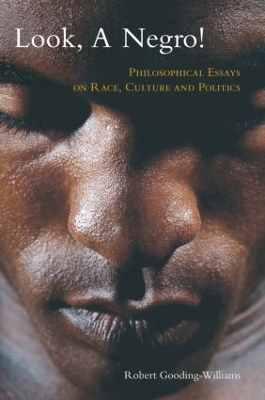 Look, a Negro! book