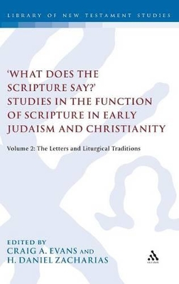 'What Does the Scripture Say?' Studies in the Function of Scripture in Early Judaism and Christianity, Volume 2 book