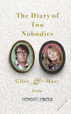 Diary of Two Nobodies book