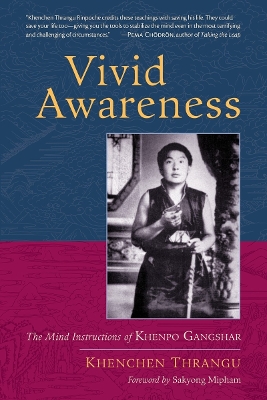 Vivid Awareness book