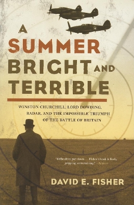 Summer Bright and Terrible book