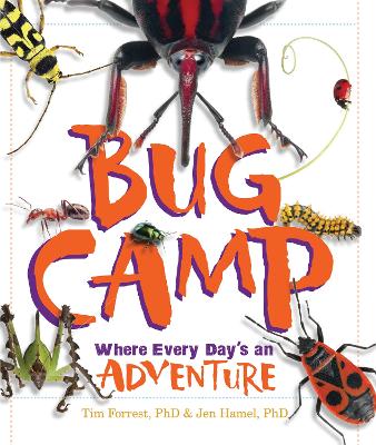 Bug Camp: Where Every Day's an Adventure by Tim Forrest