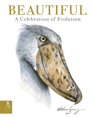 Beautiful: A Celebration of Evolution book