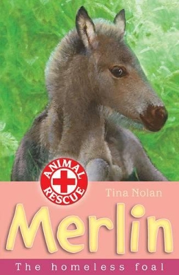 The Merlin by Tina Nolan