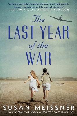 The Last Year of the War book