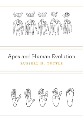 Apes and Human Evolution book