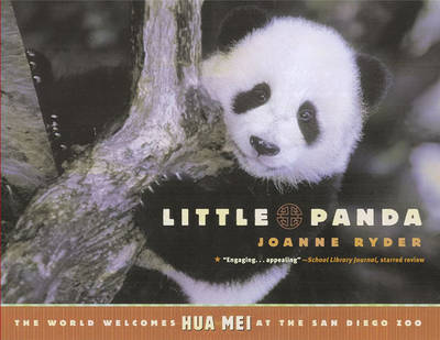 Little Panda by Joanne Ryder