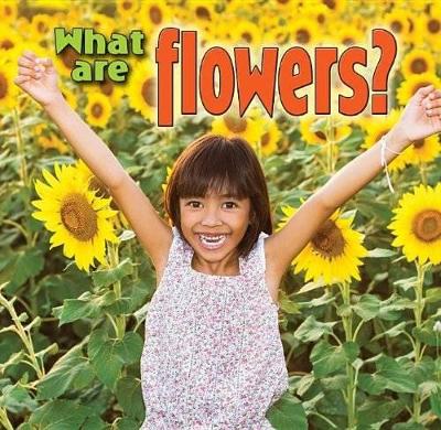 What are Flowers? book