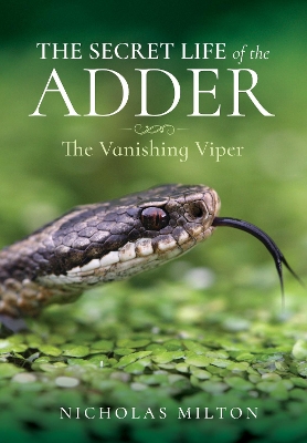 The Secret Life of the Adder: The Vanishing Viper book