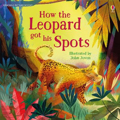 How the Leopard Got His Spots book