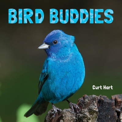 Bird Buddies by Curt Hart