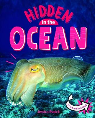 Hidden in the Ocean book