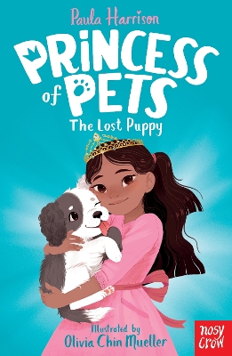 Princess of Pets: The Lost Puppy by Paula Harrison