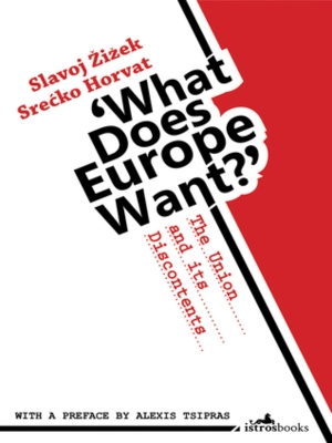 What Does Europe Want? book