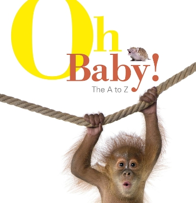 Oh Baby! The A to Z by Black Dog Books