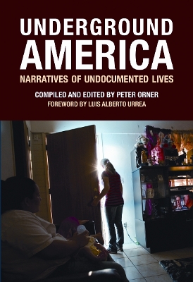 Underground America book