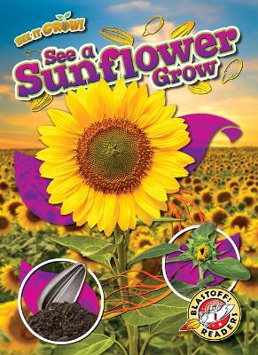 See a Sunflower Grow book
