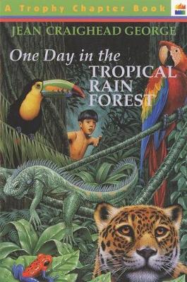 One Day in the Tropical Rain Forest book