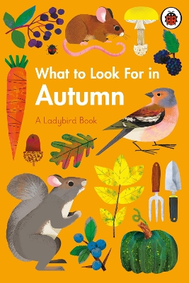 What to Look For in Autumn book