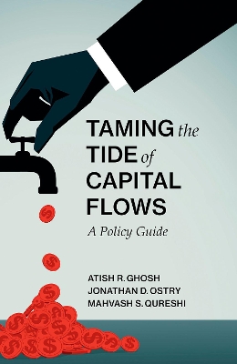 Taming the Tide of Capital Flows book