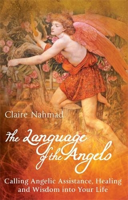 Language of the Angels book
