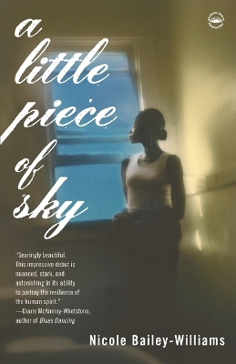 Little Piece of Sky book