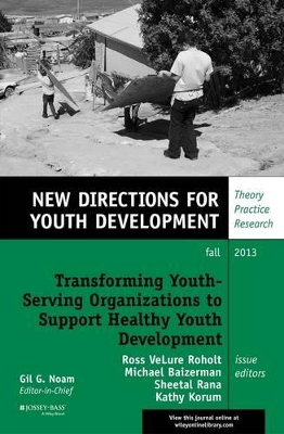 Transforming Youth Serving Organizations to Support Healthy Youth Development book