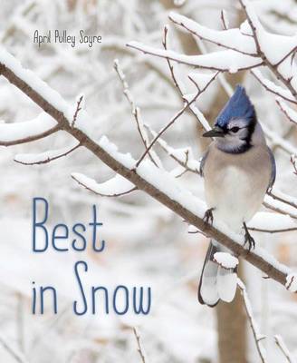 Best in Snow book