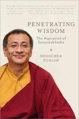 Penetrating Wisdom book