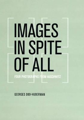 Images in Spite of All by Georges Didi-Huberman