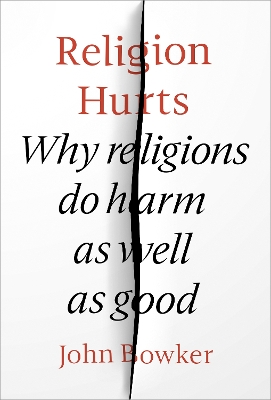 Religion Hurts: Why Religions Do Harm As Well As Good book