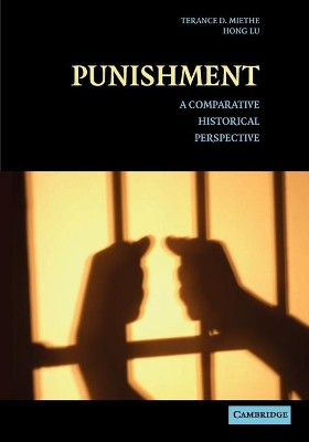 Punishment by Terance D. Miethe