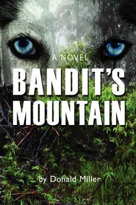 Bandit's Mountain book