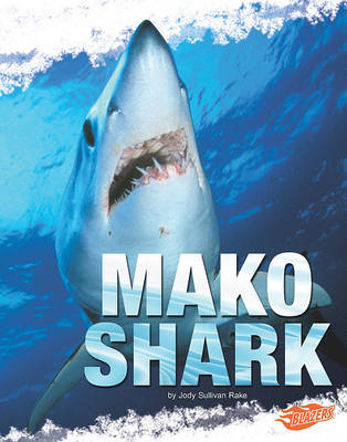 Mako Shark by Jody S Rake