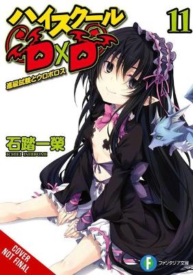 High School DxD, Vol. 11 (light novel) book