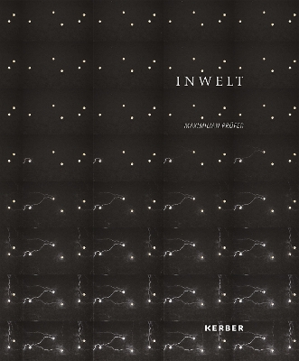 Maximilian Prüfer: Inwelt book