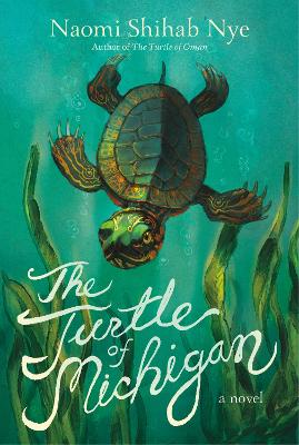 The Turtle of Michigan: A Novel book
