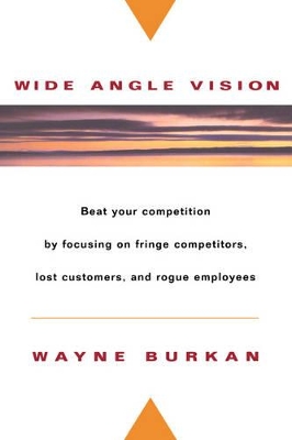 Wide-angle Vision book