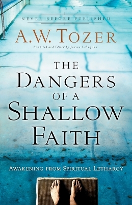 Dangers of a Shallow Faith book