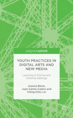 Youth Practices in Digital Arts and New Media: Learning in Formal and Informal Settings book