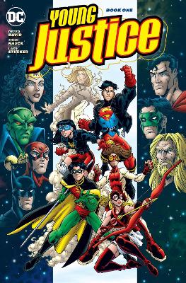 Young Justice TP Book 1 book