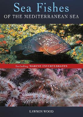 Sea Fishes Of The Mediterranean Including Marine Invertebrates book