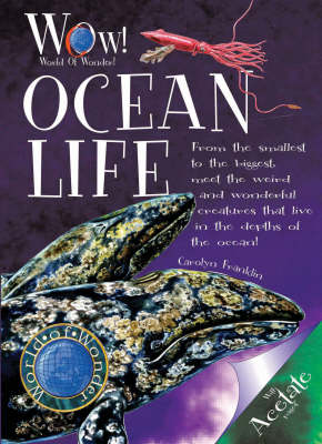 Ocean Life by Carolyn Franklin