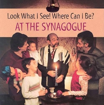 Look What I See! Where Can I Be?: At the Synagogue book