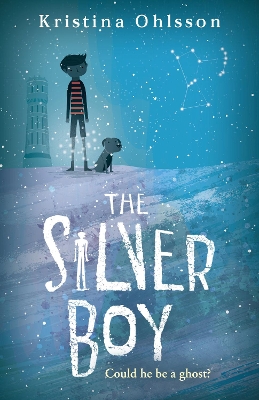 Silver Boy book