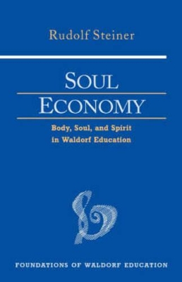 Soul Economy book